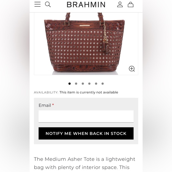 Retired Brahmin Medium Asher Pecan Lima Wicker Tote Bag Purse RARE New - Picture 16 of 16